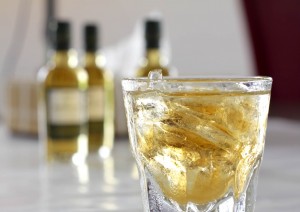Bacteria Photography Food Photographer Jakarta