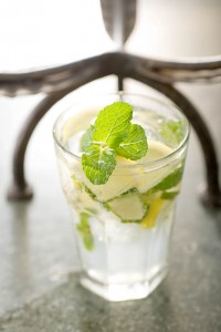Bacteria Photography Food Photographer Jakarta