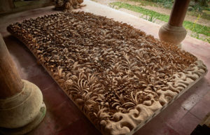 Bacteria Photography for Bidadari Mandala - Kayun