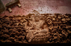 Bacteria Photography for Bidadari Mandala - Kayun